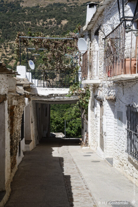 A narrow street in Capileira A narrow street in Capileira between whitewashed buildings with balconies with metal railings and under a tinao with a vine-covered trellis. Set in a sunlit hillside village with green mountains in the background.