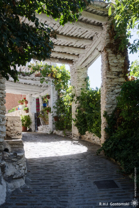 A sunlit stone path A sunlit stone path lined with whitewashed pillars covered in green vines, leading under a wooden pergola in a Spanish village. Potted plants and hanging flowers decorate the charming, rustic scene.