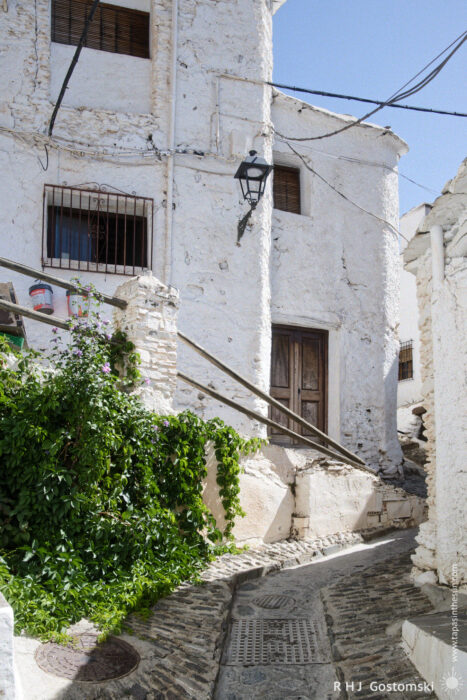 A narrow, winding stone alleyway between white houses A narrow, winding stone alleyway with whitewashed walls, wooden doors and windows, a street lamp, potted plants, and green vines climbing up one side, in a Mediterranean village.