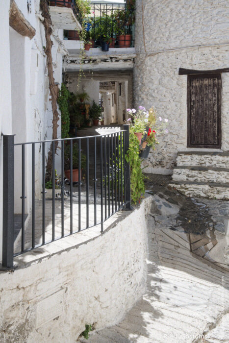 An alley under the tinaos A narrow, sunlit alleyway under tinaos in Capileira features potted plants, an iron railing, stone walls, and a wooden door, creating a charming Mediterranean atmosphere.