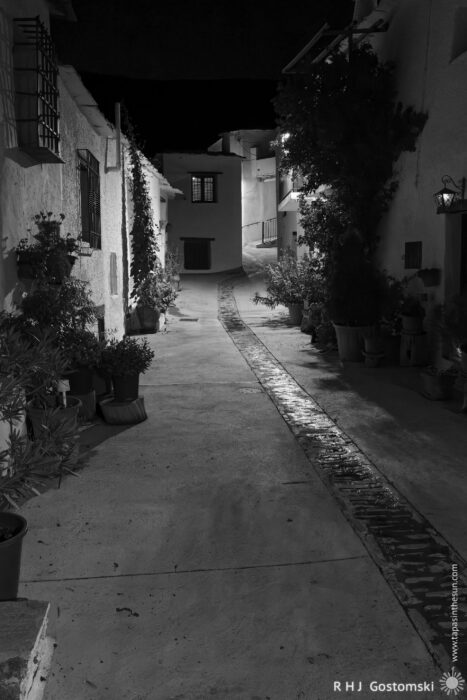 A narrow, winding street in Capileira at night A narrow, winding street in Capileira at night, lined with whitewashed buildings, potted plants, and illuminated by soft lighting; the scene is in black and white.