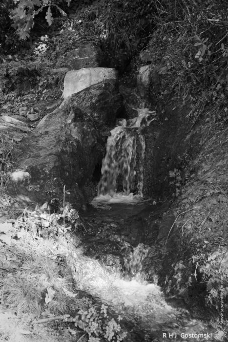 Acequia Cascading Over Rocks A small waterfall cascades over rocky terrain, surrounded by greenery and dry leaves. The water flows gently down, creating a serene natural setting. Sunlight filters through the foliage, illuminating the scene and enhancing the tranquil atmosphere.