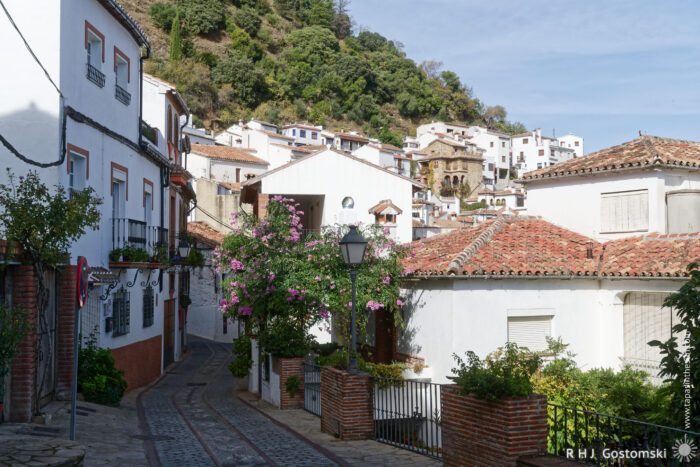 Charming Whitewashed Village Streets with Blooming Bougainvillea A picturesque narrow street in Benelauría, featuring whitewashed buildings with terracotta roofs, lush greenery on the hillside, and vibrant flowering plants adorning the scene, creating a charming and serene atmosphere.