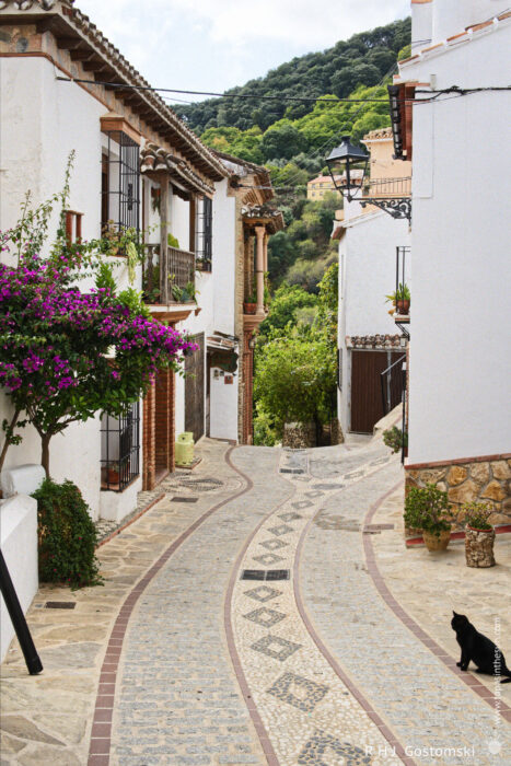 A narrow, winding street in a picturesque village, lined with whitewashed buildings adorned with vibrant purple flowers. A black cat sits quietly on the cobblestone path, with lush greenery and hills in the background.