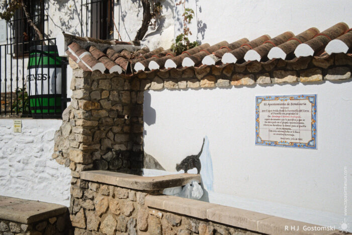 Charming Stone Fountain with Wall Art of a Cat Silhouette A stone fountain with a mural of a black cat drinking from it, set against a white wall adorned with a colorful plaque. Lush greenery is visible, and a large green barrel can be seen in the background, enhancing the charming rural atmosphere.