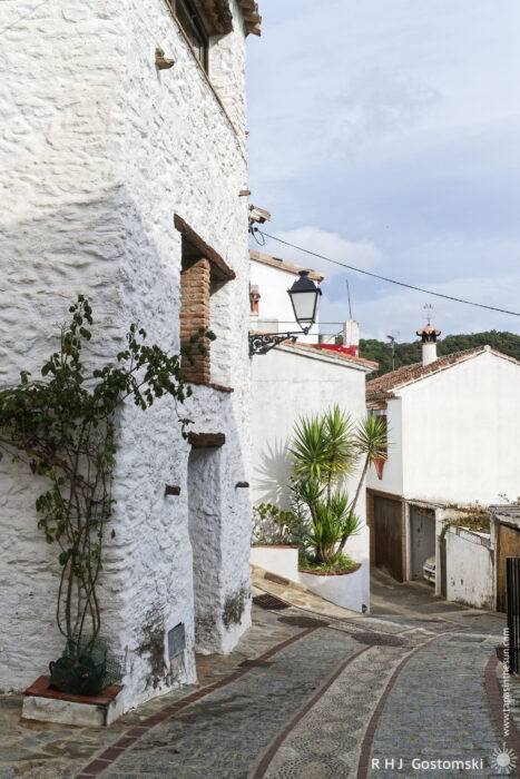 Charming Narrow Street in a Whitewashed Village A quaint, narrow street in a traditional white-washed village, lined with buildings featuring rustic charm. Lush greenery and decorative plants enhance the already picturesque scene under a partly cloudy sky.