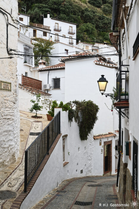 Charming Whitewashed Alley in Benelauría A quaint, narrow street in Benelauría, featuring charming houses with tiled roofs, greenery, and a streetlamp. The pathway winds gently downhill, surrounded by picturesque architecture and a tranquil atmosphere.