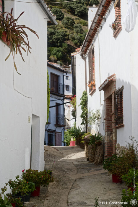 Charming Cobblestone Alleyway with Whitewashed Houses Narrow alleyway lined with whitewashed buildings, adorned with potted plants and greenery. The path curves gently, creating a charming, quaint atmosphere. Sunlight casts soft shadows, enhancing the picturesque scene of this serene neighborhood.