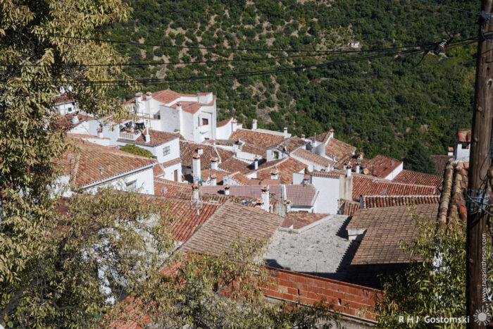 Scenic Rooftops of the Whitewashed Village of Benelauría Amidst Lush Greenery Aerial view of Benelauría with whitewashed buildings and terracotta rooftops, nestled in a lush green hillside. The scene captures the charm of rural architecture and natural surroundings.