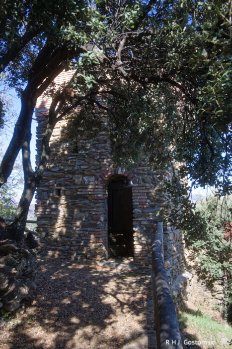 The Torreón Virgen del Rosario surrounded by trees, casting shadows on a pathway leading to its entrance. The setting is serene and natural, showcasing the interplay of light and foliage.