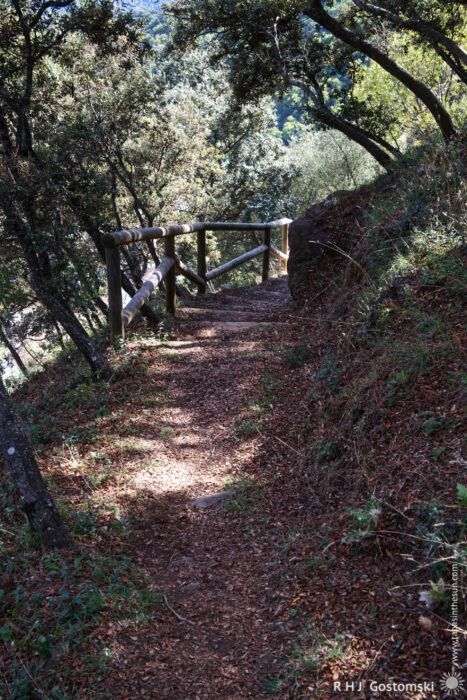 Serene woodland pathway with a rustic railing from the tower back to the village A winding dirt path meanders through a lush forest, bordered by wooden railings and surrounded by green foliage and dappled sunlight filtering through the trees. The ground is covered in fallen leaves, creating a serene natural scene.