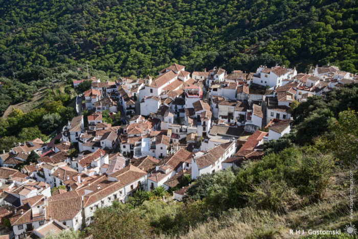Aerial view of Benelauría nestled in a lush green hillside, featuring terracotta roofs and an array of buildings interspersed among trees. The scene captures the charm of rural architecture and natural beauty.