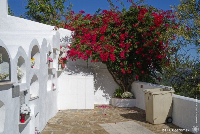 A corner in the cemetery featuring a white wall with columbarios A corner in the cemetery featuring a white wall with columbarios, a flowering bougainvillea bush overflowing with vibrant red blooms, and a stone-paved floor. A utility container is positioned nearby, surrounded by greenery under a clear blue sky.
