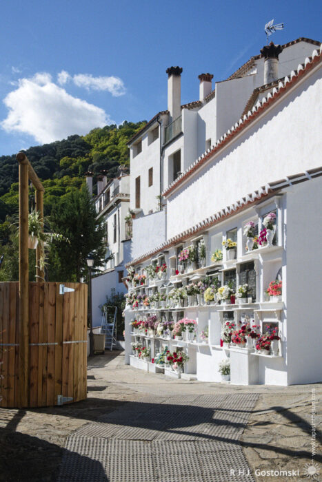 A cemetery wall with columbarios adorned with vibrant flower arrangements in pots A cemetery wall with columbarios adorned with vibrant flower arrangements in pots. Behind it, a white houses with traditional architecture sit under a bright blue sky, surrounded by lush greenery and a few wispy clouds.