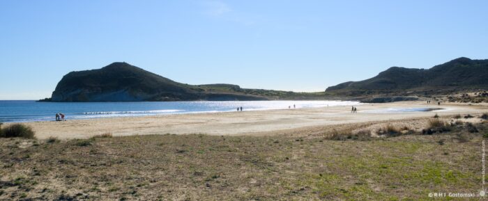 The Genoveses beach featuring a sandy shoreline, gentle waves lapping at the coast, and distant hills under a clear blue sky. People can be seen enjoying the beach, creating a peaceful and relaxing atmosphere.