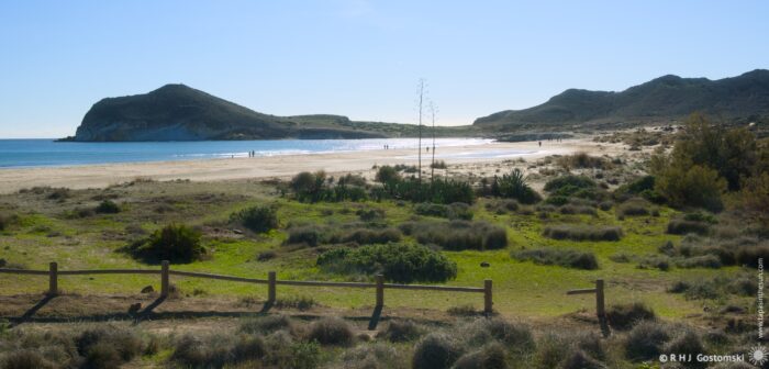 A tranquil Genoveses beach featuring gentle waves lapping at the shore, surrounded by lush greenery and distant hills under a clear blue sky. A wooden fence lines the foreground, enhancing the serene, natural landscape.