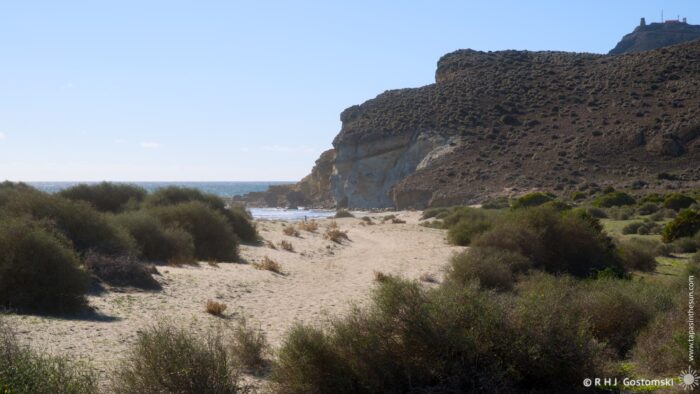 A sandy beach stretches along a coastline, bordered by low shrubs and cliffs under a clear blue sky, with gentle waves lapping at the shore in the distance.