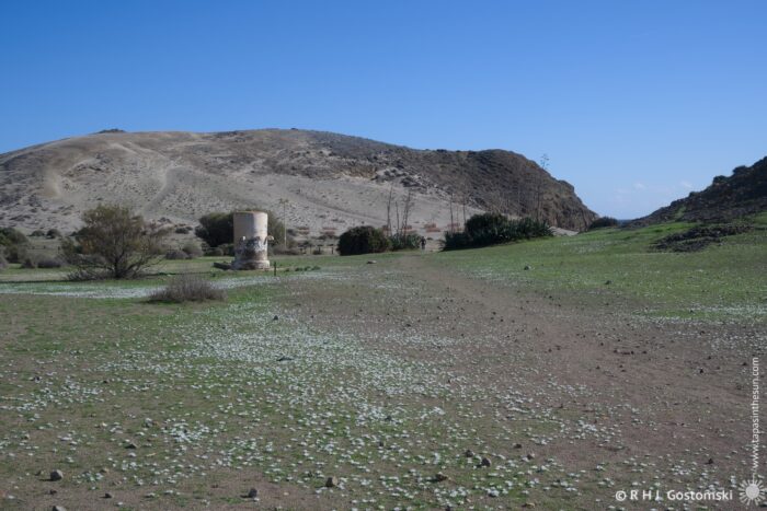 A wide view of a barren landscape featuring a cylindrical stone structure on a grassy area sprinkled with white flowers, set against a backdrop of rolling hills under a clear blue sky.