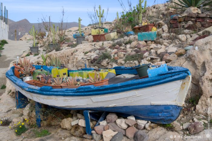A colorful, weathered boat is repurposed as a garden, adorned with various potted plants and surrounded by rocky terrain and cacti. Mountainous scenery and a path can be seen in the background, offering a serene coastal aesthetic.