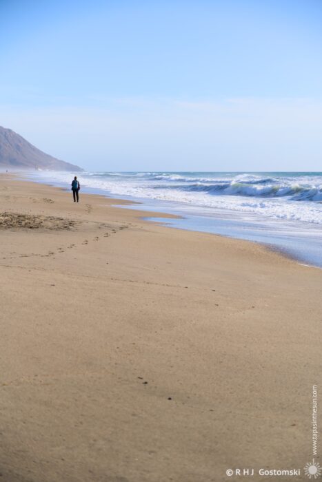 A person walks along a sandy Cabo de Gata beach, with gentle waves lapping at the shore and a mountainous backdrop under a clear blue sky.
