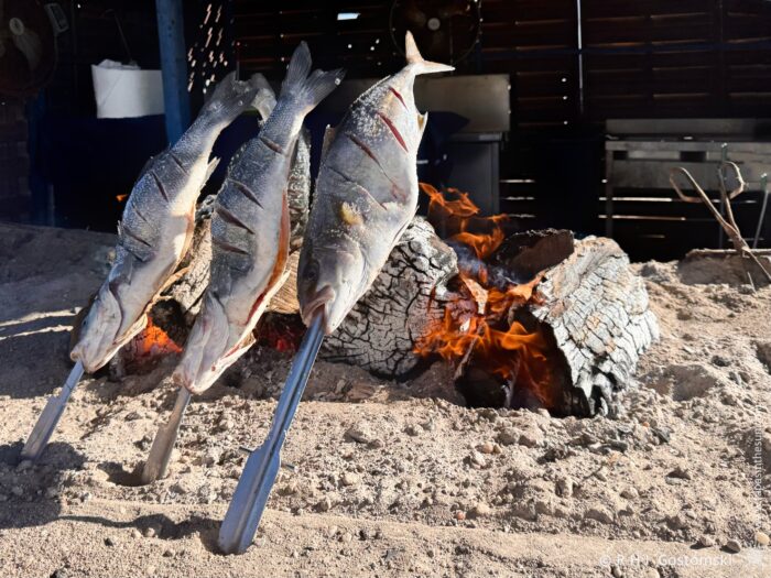 Three sea bass being cooked on an open wood fire