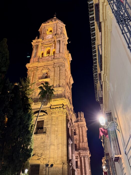 The beautifully illuminated tower of Malaga Cathedral stands tall at night, surrounded by greenery and traditional architecture. The scene captures the charm of the setting, showcasing intricate details and soft lighting that highlight the building's grandeur.