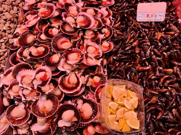 A vibrant seafood display featuring a mound of scallops with colourful mussels, alongside a selection of various shellfish. A container of lemon wedges sits at the front, enhancing the fresh marine atmosphere.