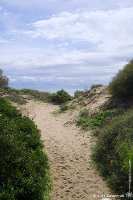 A sandy path winds through Dunas de Artola, leading towards a distant view of the sea under a cloudy sky.