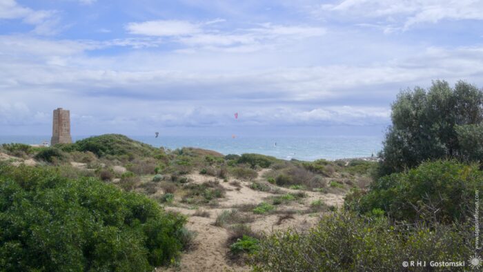 A coastal landscape featuring shrubs and sand paths, with a distant tower. The sea is visible, dotted with kite surfers against a backdrop of cloudy skies.