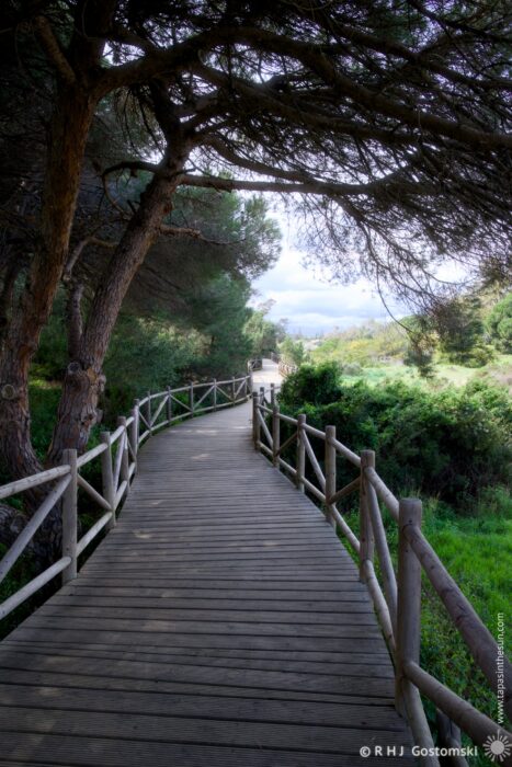 A winding wooden path surrounded by lush greenery and tall trees, leading through a peaceful natural setting, with distant views of hills and a cloudy sky above.