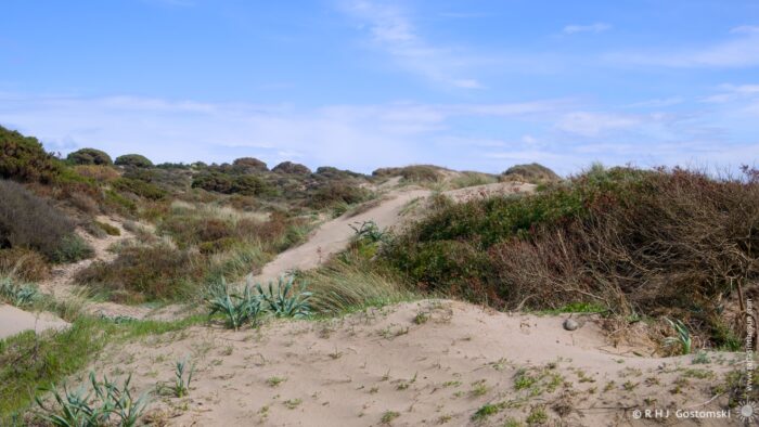 A sandy landscape features rolling dunes and patches of vegetation, under a partly cloudy blue sky. The scene captures the natural beauty of coastal terrain, with grasses and shrubs blending into the sandy pathways.