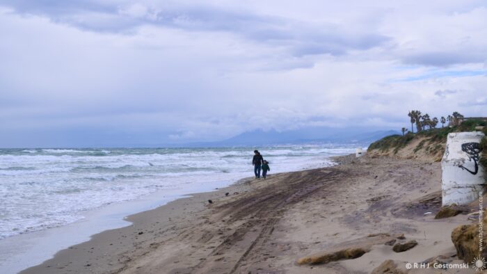 A father and son walk along a sandy beach near the sea, with waves gently crashing on the shore. The sky is overcast, creating a moody atmosphere, while palm trees are visible in the background.