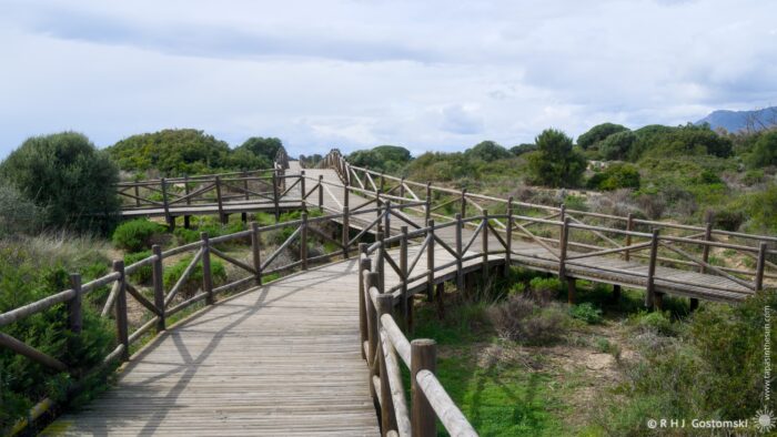 A wooden boardwalk meanders through the Dunas de Artola, surrounded by shrubs and trees, under a cloudy sky. The path connects various points, inviting exploration of the natural scenery.