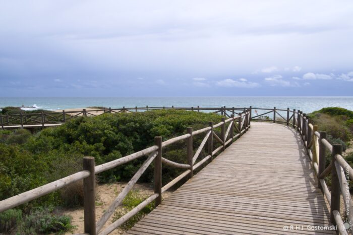 A wooden boardwalk winds through lush greenery towards a sandy beach and ocean under a cloudy sky, creating a serene coastal landscape.