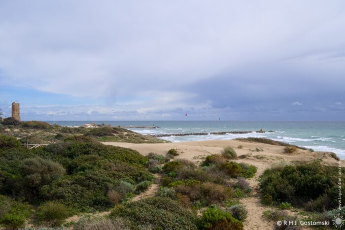 A scenic view of a beach with sandy dunes and lush green vegetation, featuring a distant old tower and cloudy skies. Kitesurfers can be seen in the water, highlighting the recreational activity in this serene coastal setting.