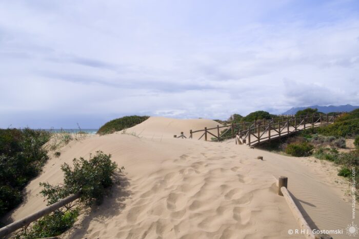 A sandy dune landscape under a cloudy sky, with a wooden walkway (blocked by a sand dune) winding through greenery. The scene captures the tranquility of nature, leading towards the sea in the distance.