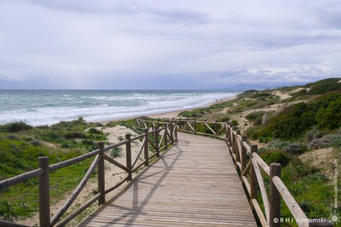 Coastal boardwalk leading to a sandy beach with stormy waves under a cloudy sky. Lush vegetation flanks the path, creating a serene natural landscape.