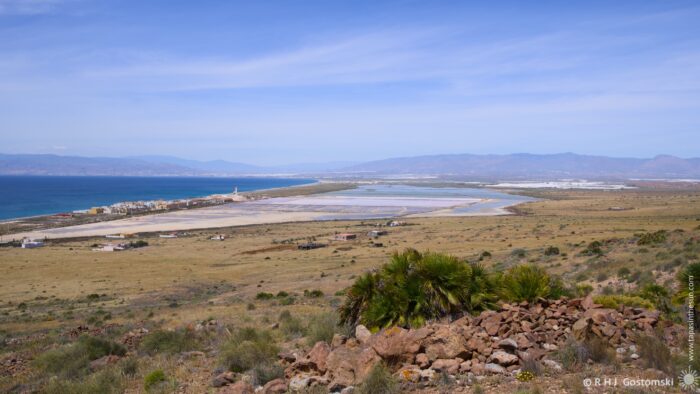 A wide, arid landscape stretches towards the sea, dominated by white salt flats and low-lying scrub vegetation. The scene is bathed in bright afternoon light, with distant mountains visible on the horizon and a small town nestled along the coastline. A few scattered rocks and a solitary palm punctuate the foreground.