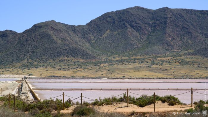 A wide, flat expanse of pink salt flats stretches towards a range of arid mountains under a bright midday sun. A low, weathered fence runs along the edge of the flats, with sparse vegetation in the foreground, creating a sense of vastness and tranquility.