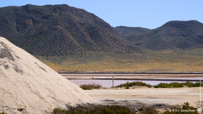A wide, arid landscape featuring a large white salt pile in the foreground, with a pinkish salt evaporation ponds and low scrub vegetation beyond. Distant mountains form a hazy backdrop under a clear, bright sky, creating a sense of vastness and tranquility.