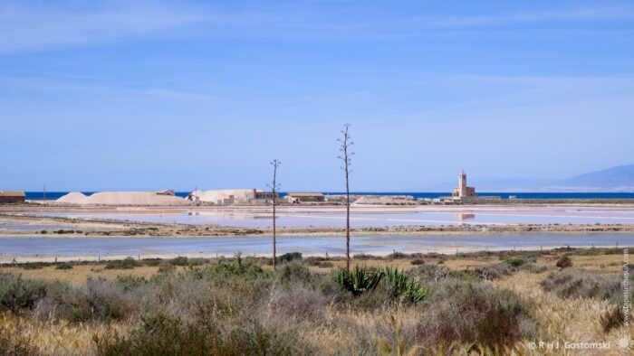 A wide, panoramic view showcases salt pans stretching to the edge of a turquoise sea, with the Salt Works and Iglesia de las Salinas standing prominently in the distance. The scene is bathed in bright midday sunlight, creating reflections across the water and a warm glow on the surrounding landscape. A line of dry grasses and scrub vegetation frames the foreground, adding texture to the composition. Faint mountains can be seen on the horizon.