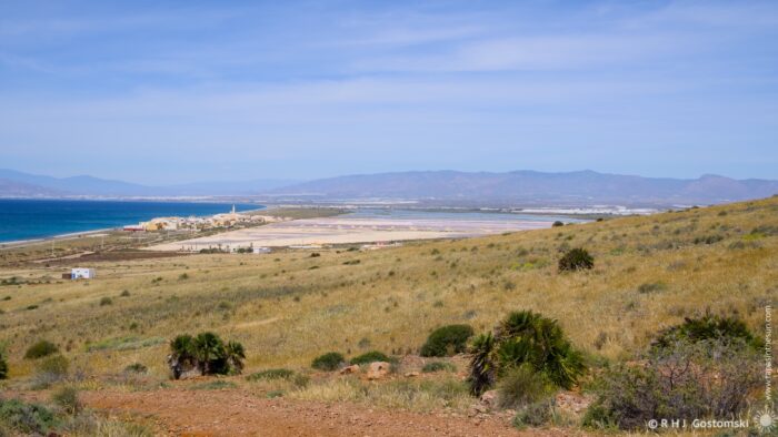 A wide, panoramic view showcases a vast expanse of salt flats stretching towards the sea, framed by low-lying scrubland in the foreground and a range of distant mountains under a clear blue sky. The scene evokes a sense of tranquility and arid beauty, with the late afternoon light casting long shadows across the landscape. The composition emphasises the scale and natural textures of this coastal environment.